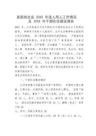 【国资国企】某国有企业2022年选人用人工作情况及2023年干部队伍建设报告
