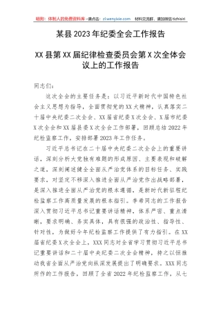 【纪检系统】某县2023年纪委全会工作报告