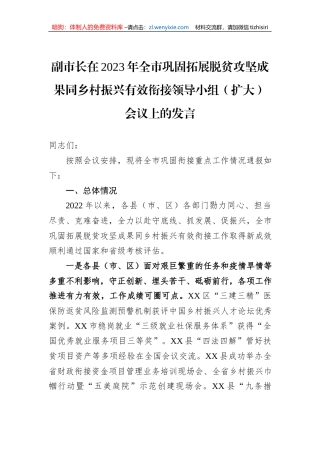 副市长在2023年全市巩固拓展脱贫攻坚成果同乡村振兴有效衔接领导小组（扩大）会议上的发言