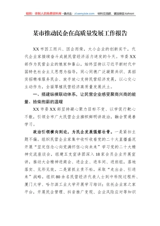 某市推动民企在高质量发展工作报告