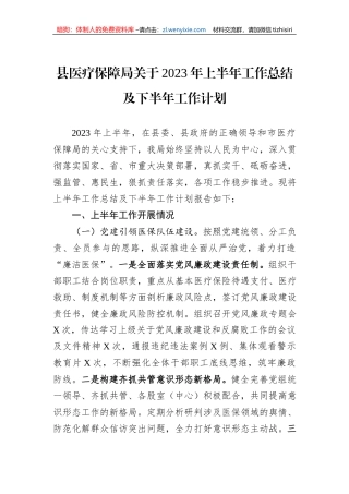 县医疗保障局关于2023年上半年工作总结及下半年工作计划