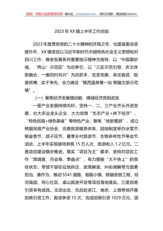 2023年XX镇上半年工作总结