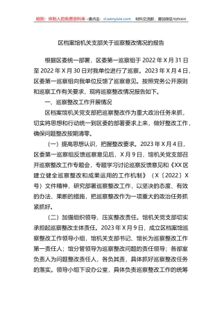 区档案馆机关支部关于巡察整改情况的报告