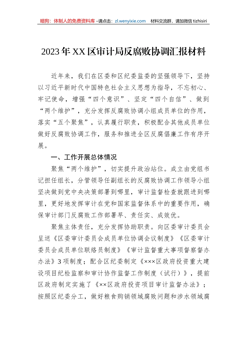 2023年XX区审计局反腐败协调汇报材料_第1页