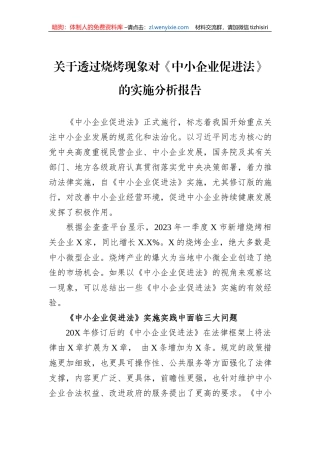 关于透过烧烤现象对《中小企业促进法》的实施分析报告
