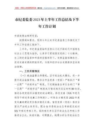市纪委监委2023年上半年工作总结及下半年工作计划