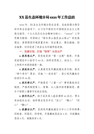 XX县生态环境分局2020年工作总结