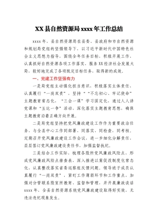 XX县自然资源局2020年工作总结
