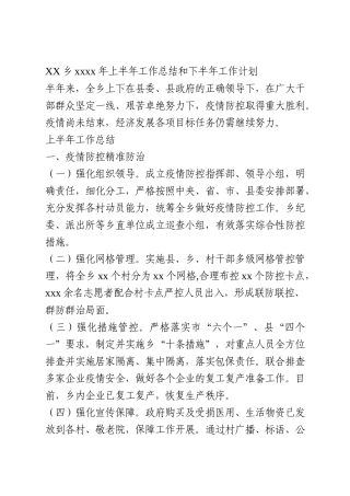 XX乡2020年上半年工作总结和下半年工作计划