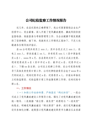 公司纪检监察工作情况总结