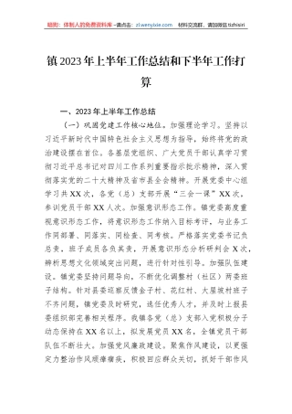 镇2023年上半年工作总结和下半年工作打算