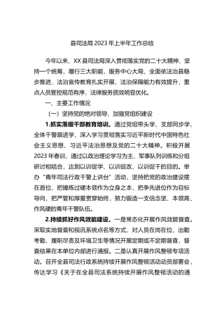县司法局2023年上半年工作总结
