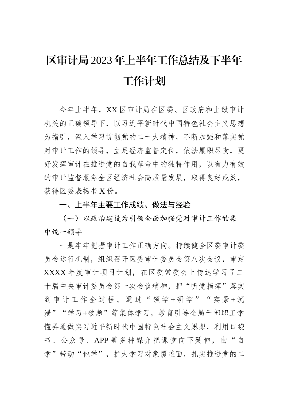 区审计局2023年上半年工作总结及下半年工作计划_第1页