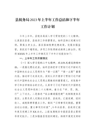 县税务局2023年上半年工作总结和下半年工作计划