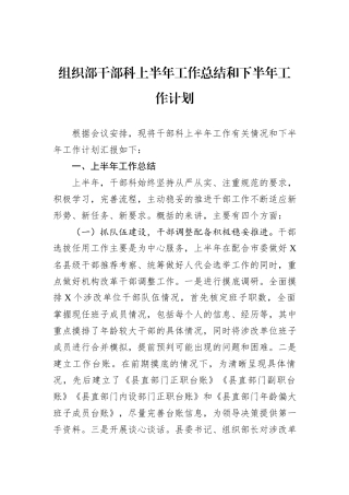 组织部干部科上半年工作总结和下半年工作计划