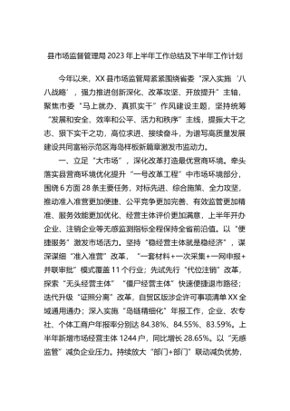 县市场监督管理局2023年上半年工作总结及下半年工作计划