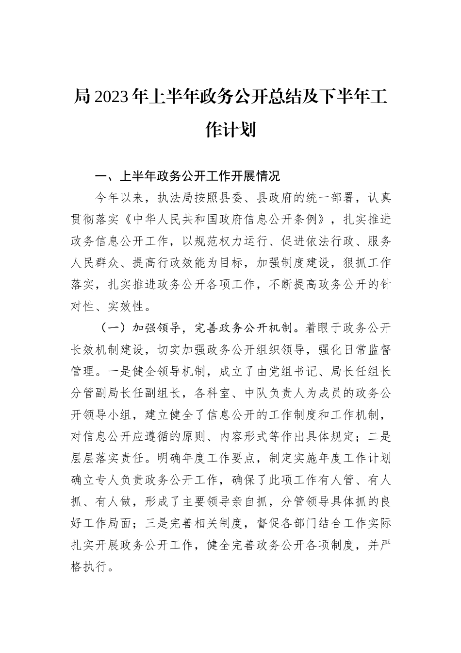 局2023年上半年政务公开总结及下半年工作计划_第1页