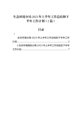 生态环境分局2023年上半年工作总结和下半年工作计划（2篇）