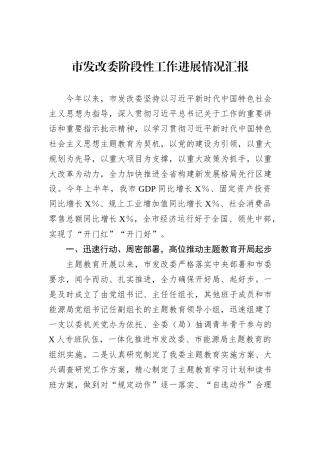 市发改委阶段性工作进展情况汇报