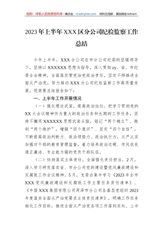 2023年上半年XXX区分公司纪检监察工作总结