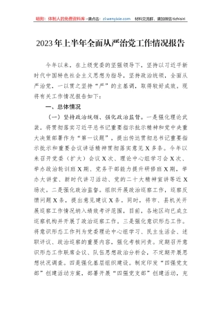 2023年上半年全面从严治党工作情况报告