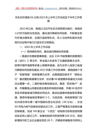 市生态环境局XX分局2023年上半年工作总结及下半年工作思路