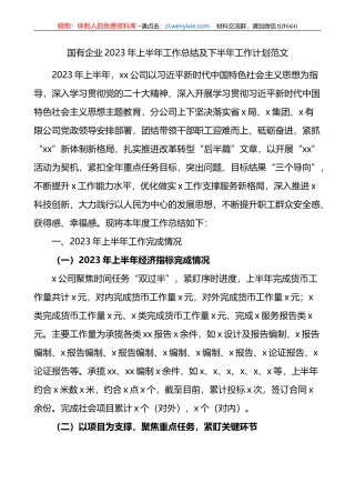 国有企业2023年上半年工作总结及下半年计划集团公司业务汇报报告