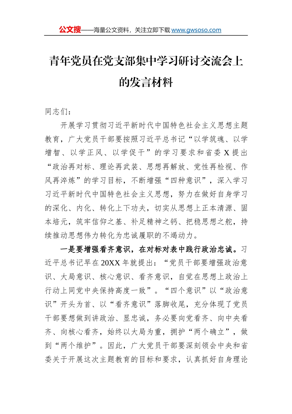 青年党员在党支部集中学习研讨交流会上的发言材料_第1页