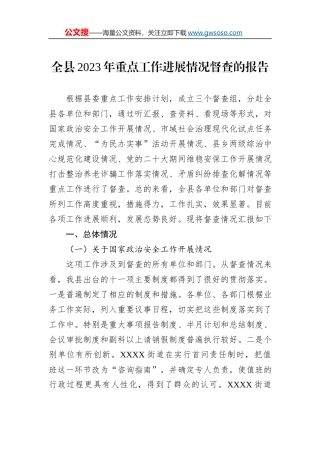 全县2023年重点工作进展情况督查的报告