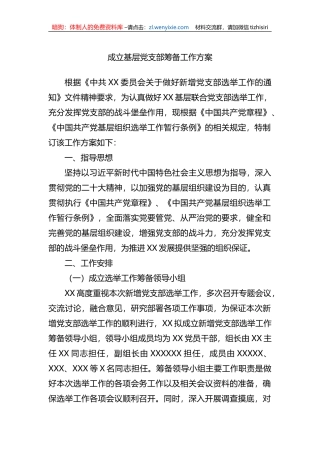 成立基层党支部筹备工作方案