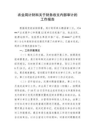 【情况报告】农业局计财科关于财务收支内部审计的工作报告