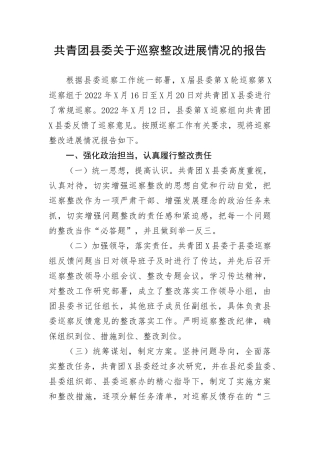 【巡视巡察】共青团县委关于巡察整改进展情况的报告