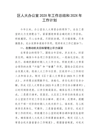 【人大】区人大办公室2022年工作总结和202X年工作计划