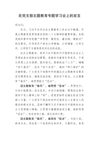 【主题教育】在党支部主题教育专题学习会上的发言