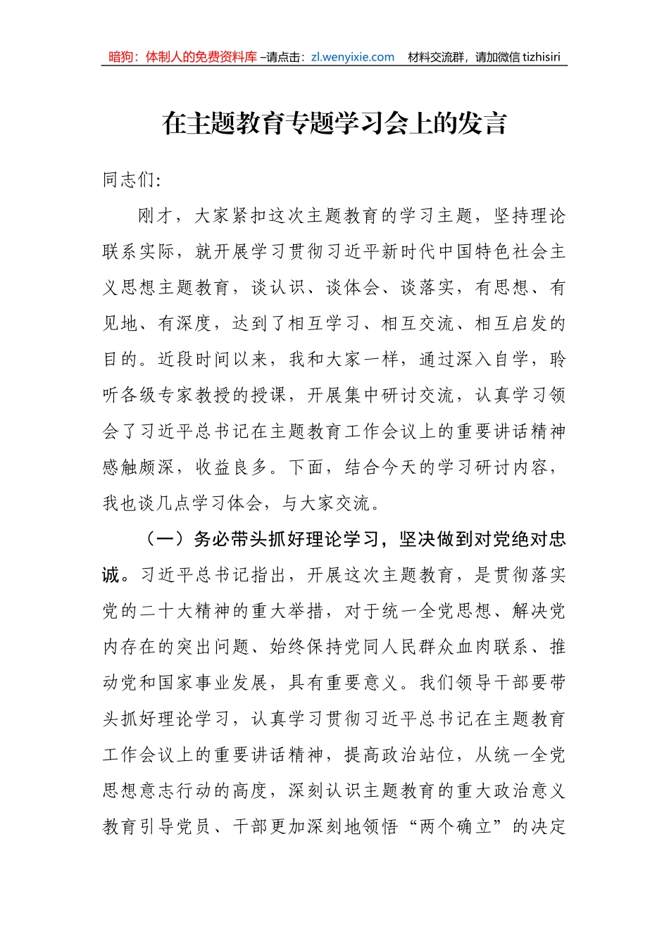 在主题教育专题学习会上的发言_第1页