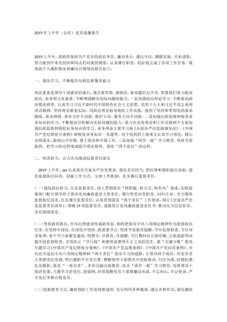 2019年上半年（总结）述责述廉报告