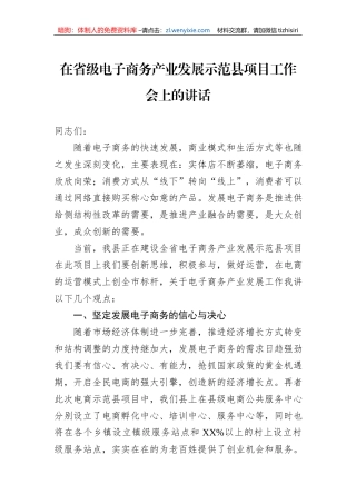 在省级电子商务产业发展示范县项目工作会上的讲话