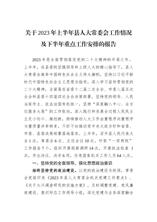 关于2023年上半年县人大常委会工作情况及下半年重点工作安排的报告