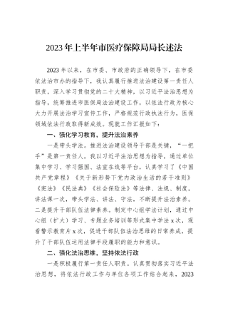 2023年上半年市医疗保障局局长述法