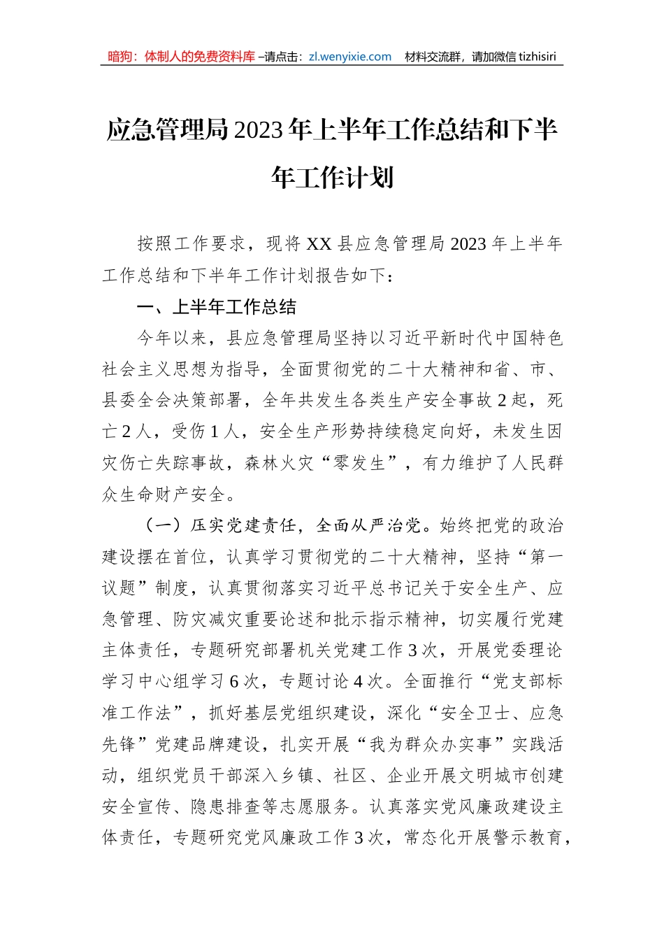 应急管理局2023年上半年工作总结和下半年工作计划_第1页