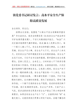 镇党委书记研讨发言：高水平安全生产保障高质量发展