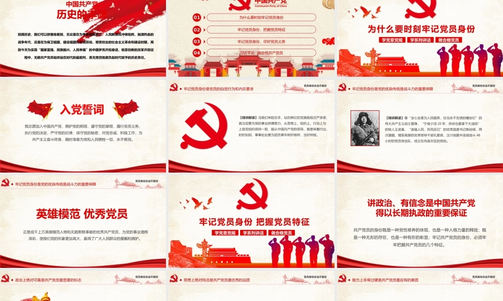 党建PPT(46)