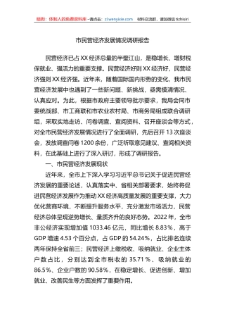市民营经济发展情况调研报告