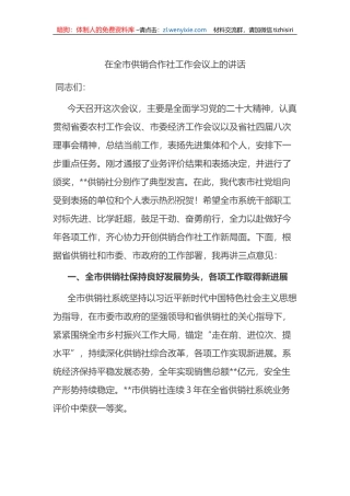 在全市供销合作社工作会议上的讲话
