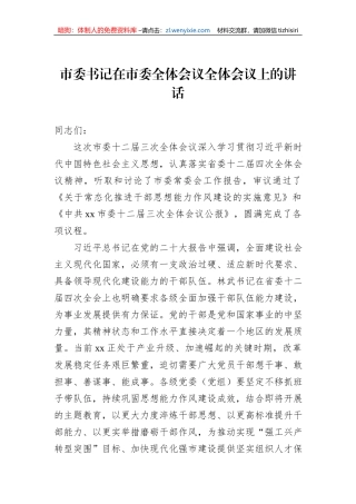 市委书记在市委全体会议全体会议上的讲话
