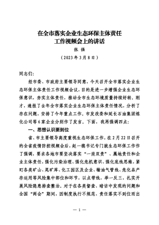 在全市落实企业生态环保主体责任工作视频会上的讲话