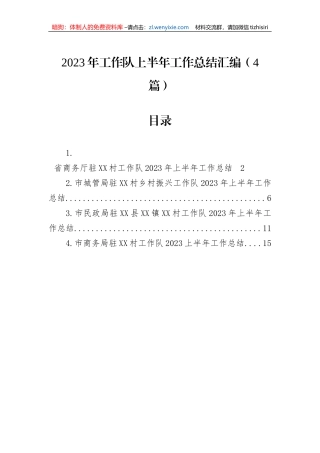 2023年工作队上半年工作总结汇编（4篇）
