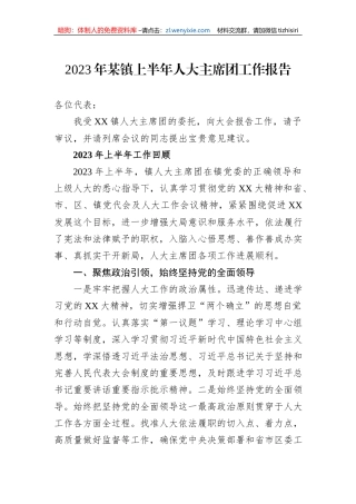 2023年某镇上半年人大主席团工作报告