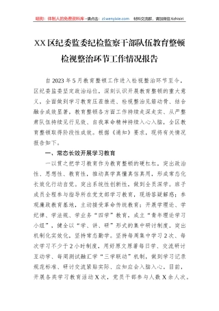 XX区纪委监委纪检监察干部队伍教育整顿检视整治环节工作情况报告