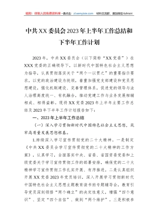 中共XX委员会2023年上半年工作总结和下半年工作计划